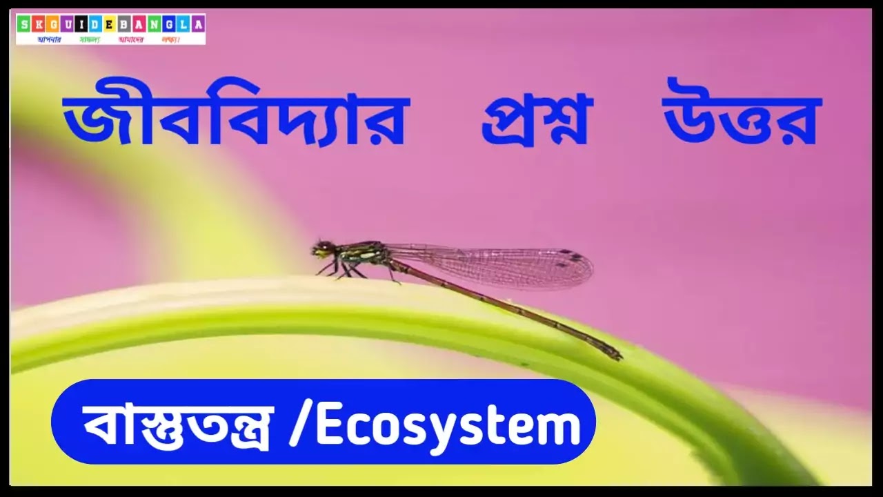 দ্বাদশ শ্রেণির জীব বিদ্যা। বাস্তু তন্ত্র প্রশ্ন উত্তর।Class 12 Biology । Ecosystem Question Answer in Bengali