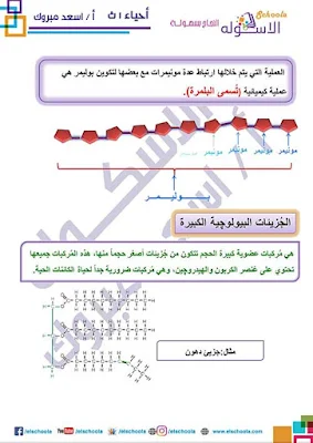 أحدث مذكرة احياء للصف الاول الثانوي الترم الاول 2023