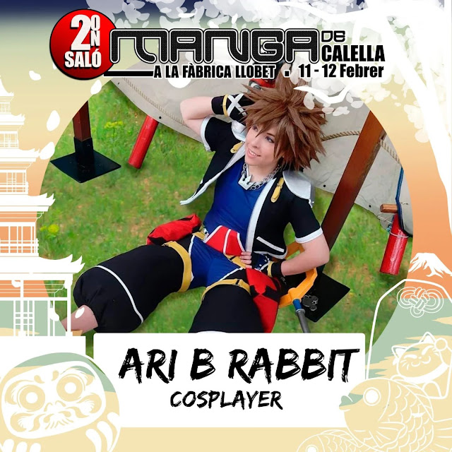 Ari B. Rabbit