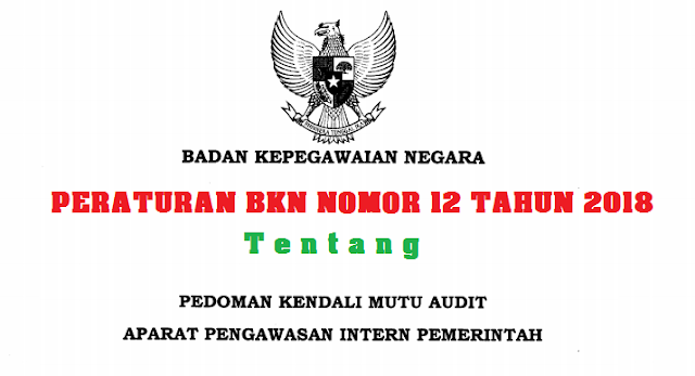 Tentang Pedoman Kendali Mutu Audit Aparat Pengawasan Intern Pemerintah  PERATURAN BKN NOMOR 12 TAHUN 2018 TENTANG PEDOMAN KENDALI MUTU AUDIT APARAT PENGAWASAN INTERN PEMERINTAH (APIP)