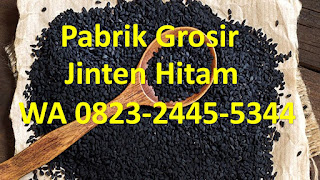 supplier jintan hitam habatussauda Cakung Jakarta Timur