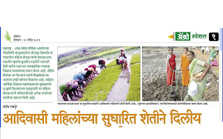 आदिवासी महिलांच्या सुधारित शेतीने दिलीय भात उत्पादकांना प्रेरणा