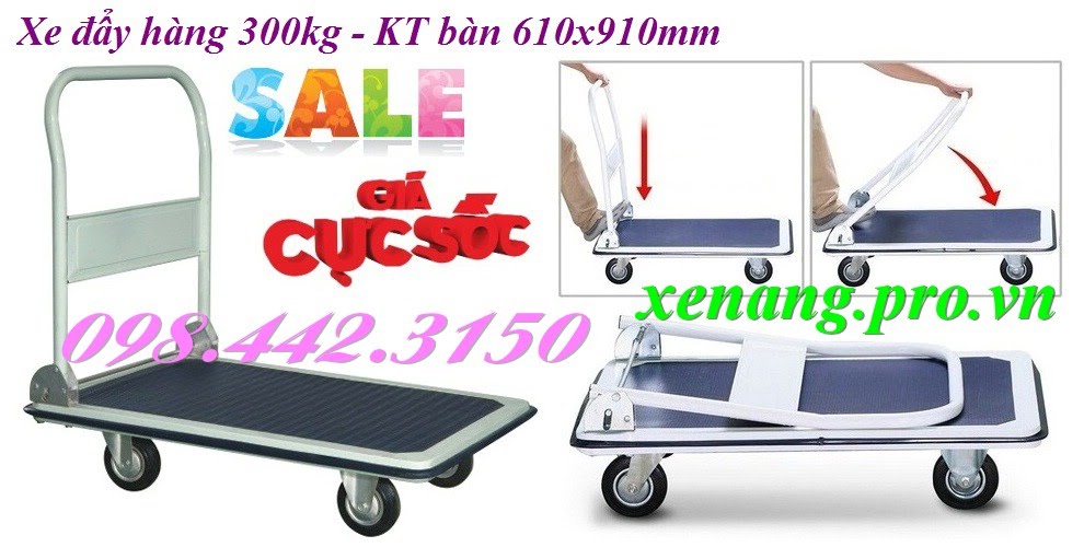 Xe đẩy hàng 300kg wt30