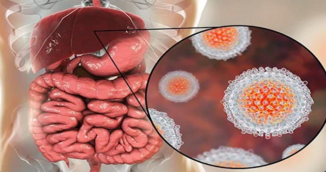 How many forms of viral hepatitis have been found so far?