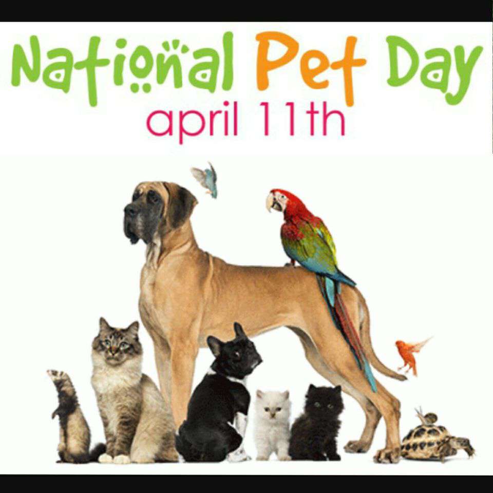 National Pet Day Wishes pics free download