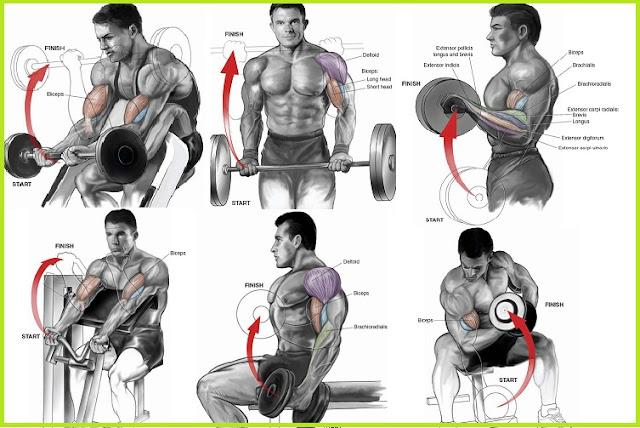 Killer Bicep Workout 