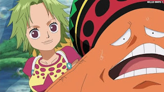 ワンピースアニメ 512話 パッパグ ケイミー | ONE PIECE Episode 512