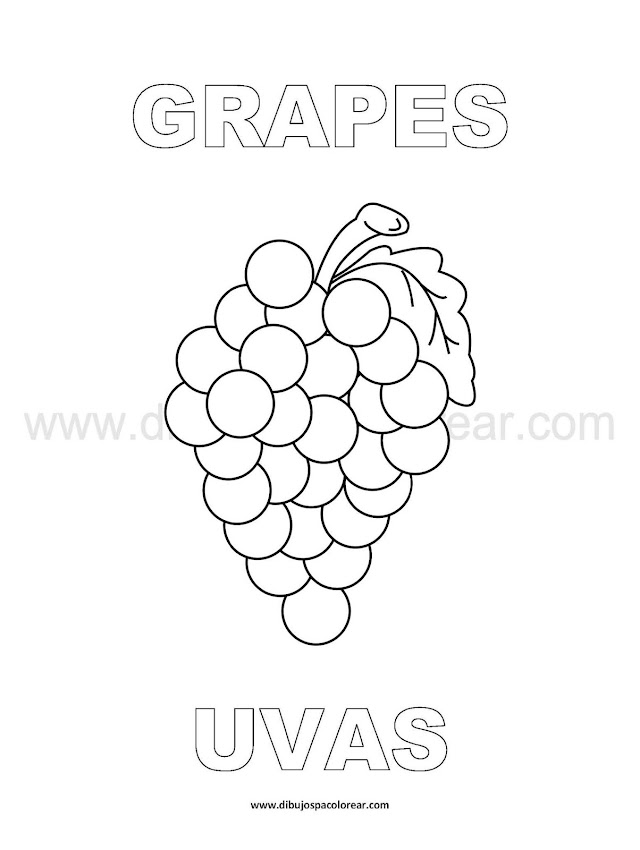 Dibujos Inglés - Español con U: Uvas - Grapes