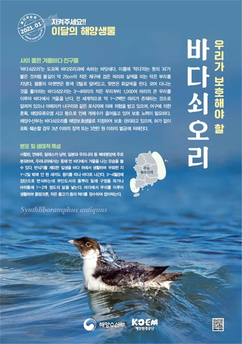 ▲ 2021년 1월 이달의 해양생물 포스터