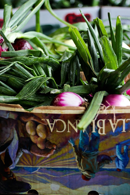 ferme,regis,legume,photo-emmanuelle-ricard,blog,anthracite-aime