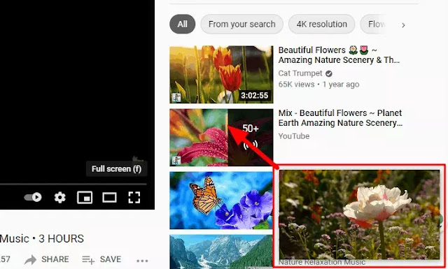 Cara Mengaktifkan Mode Picture in Picture Browser Microsoft Edge-2