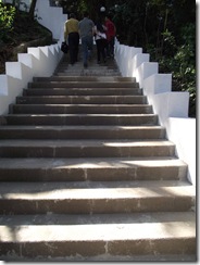 DSCF1427