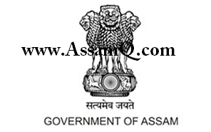 medical and health board assam recruitment 2018 [12 Posts]
