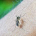 MIl 57 casos sospechosos de dengue en última semana registrados en la República Dominica