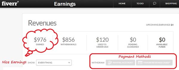 Fiverr Earnings