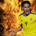 Profil Bintang : Radamel Falcao