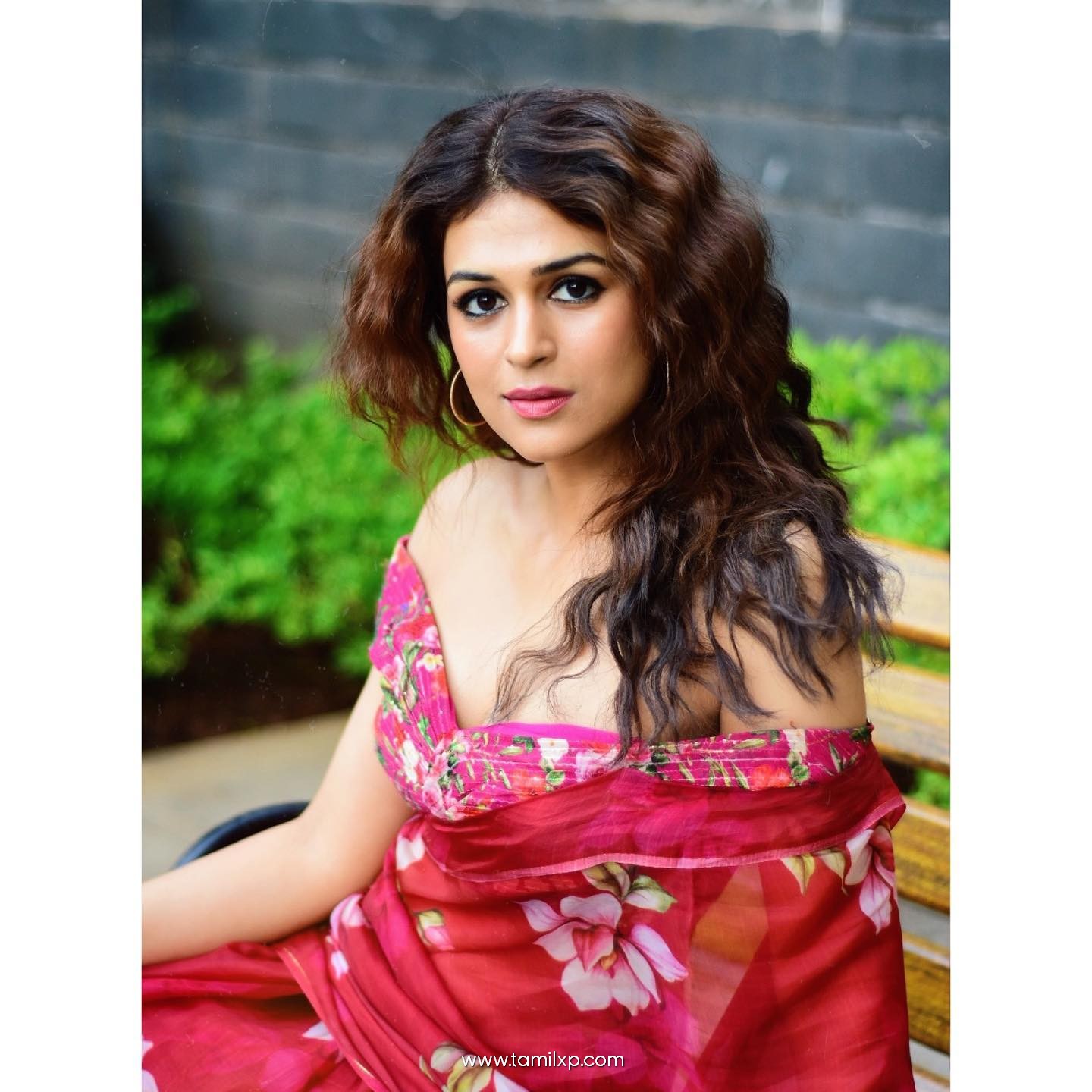 Actress Shraddha das Saree photos