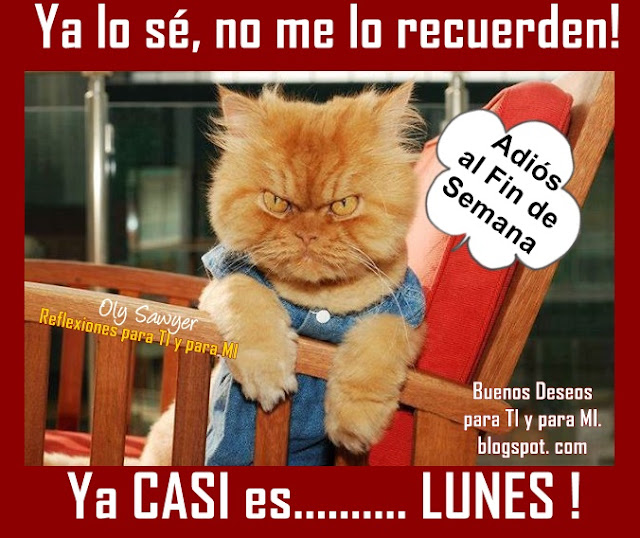  Ya lo sé, no me lo recuerden! ADIOS al Fin de Semana...  Ya CASI es .... LUNES !!!