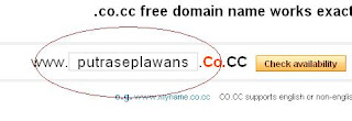 Memilih Nama Domain Co.Cc