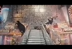『デッドヒート』（1995年）予告編でジャッキー映画紹介「龍ブロ：ジャッキー・チェン作品紹介ブログ」