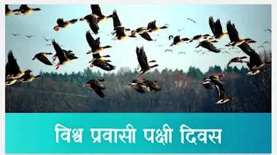 विश्व प्रवासी पक्षी दिवस