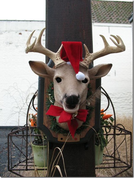 singing deer