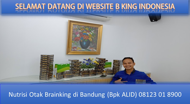  PROMOSI, 08123 01 8900 (Bpk. Alid), Nutrisi Otak Brainking di Bandung