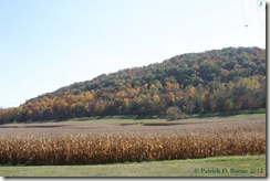 Fall Colors 01