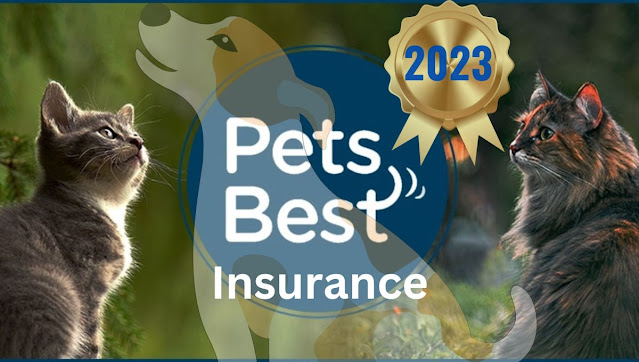 Top 5 Best Pet Insurance Companies of 2023 - Keep safe Your Pet