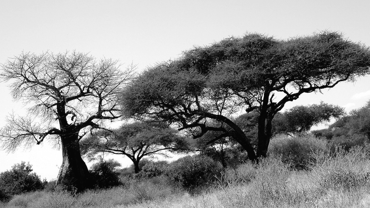 P1040645