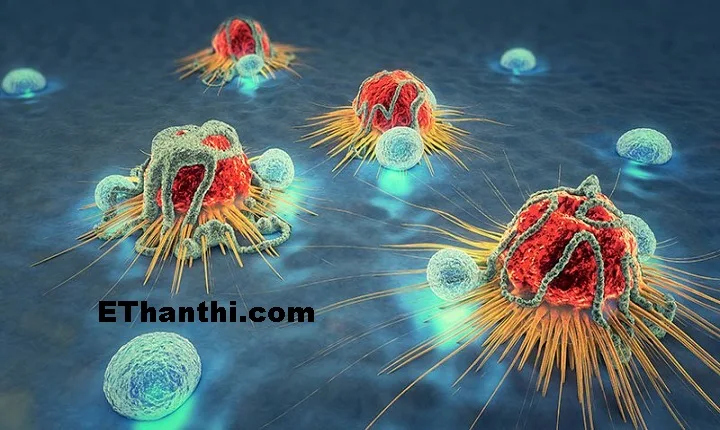 உடன் பாட்டு எதிர்ப்பு சக்தி - Passive Immunity