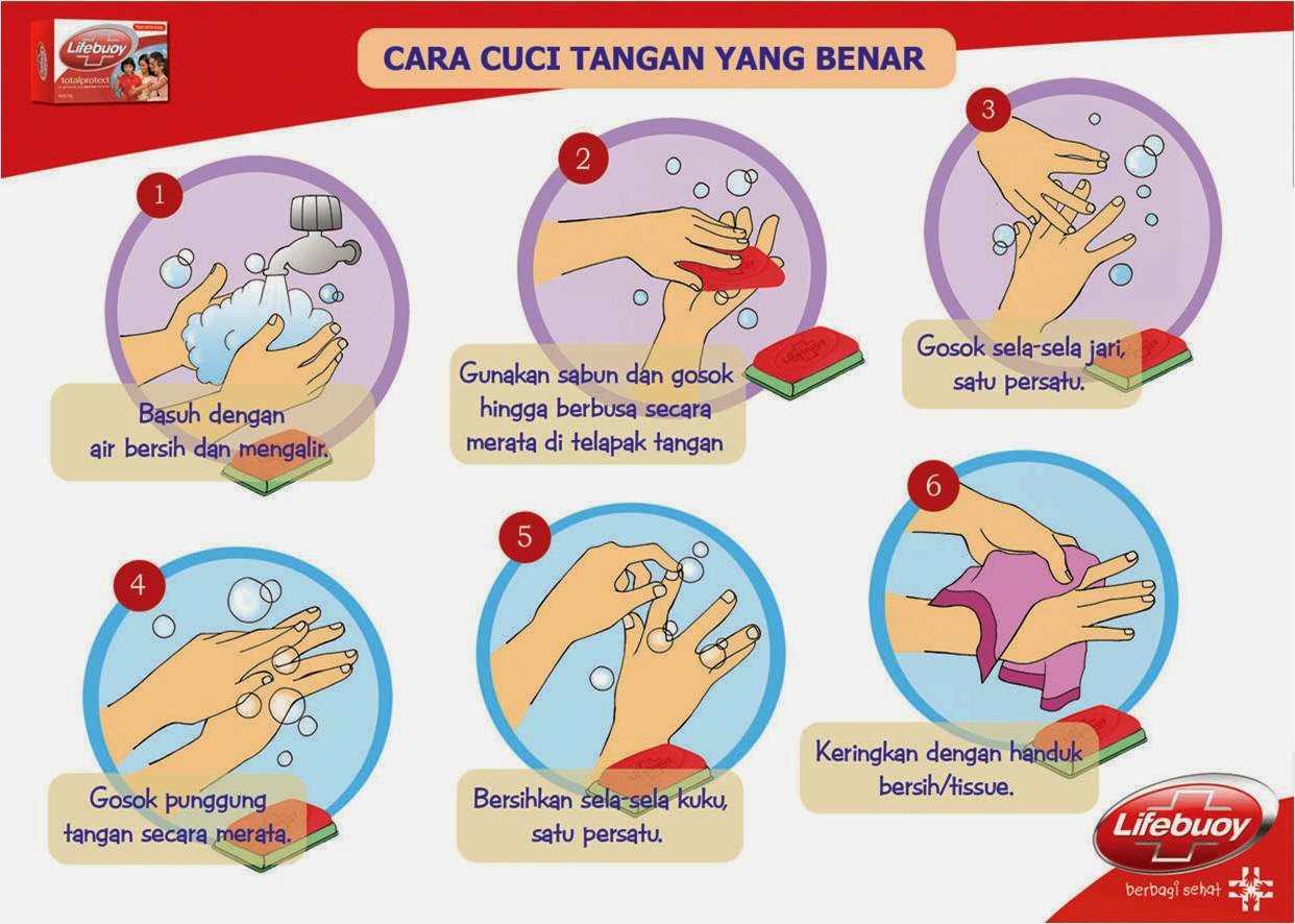 Unduh 76 Gambar  Animasi  Cuci Tangan  6 Langkah Keren Gratis