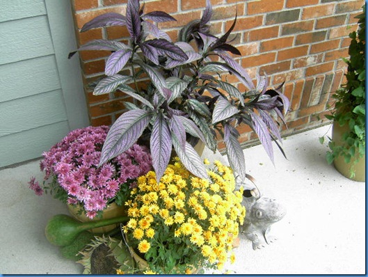 Fall Entry and Wreath 002