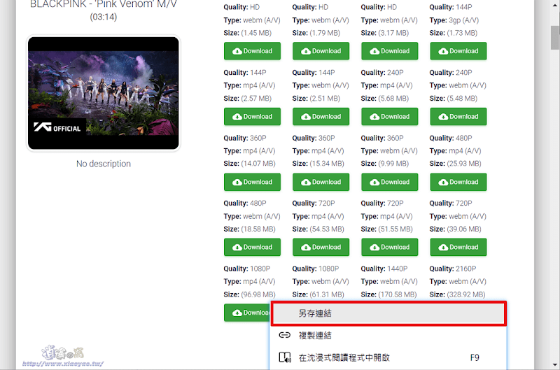 PasteDownload 萬用網路影片下載器支援 YT/FB/IG/TikTok 等500+網站