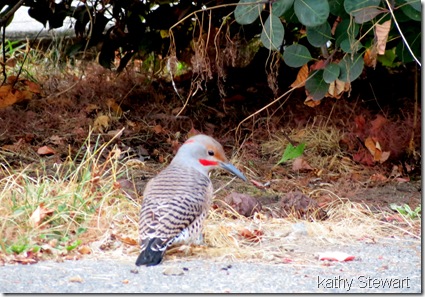 Hybrid Flicker