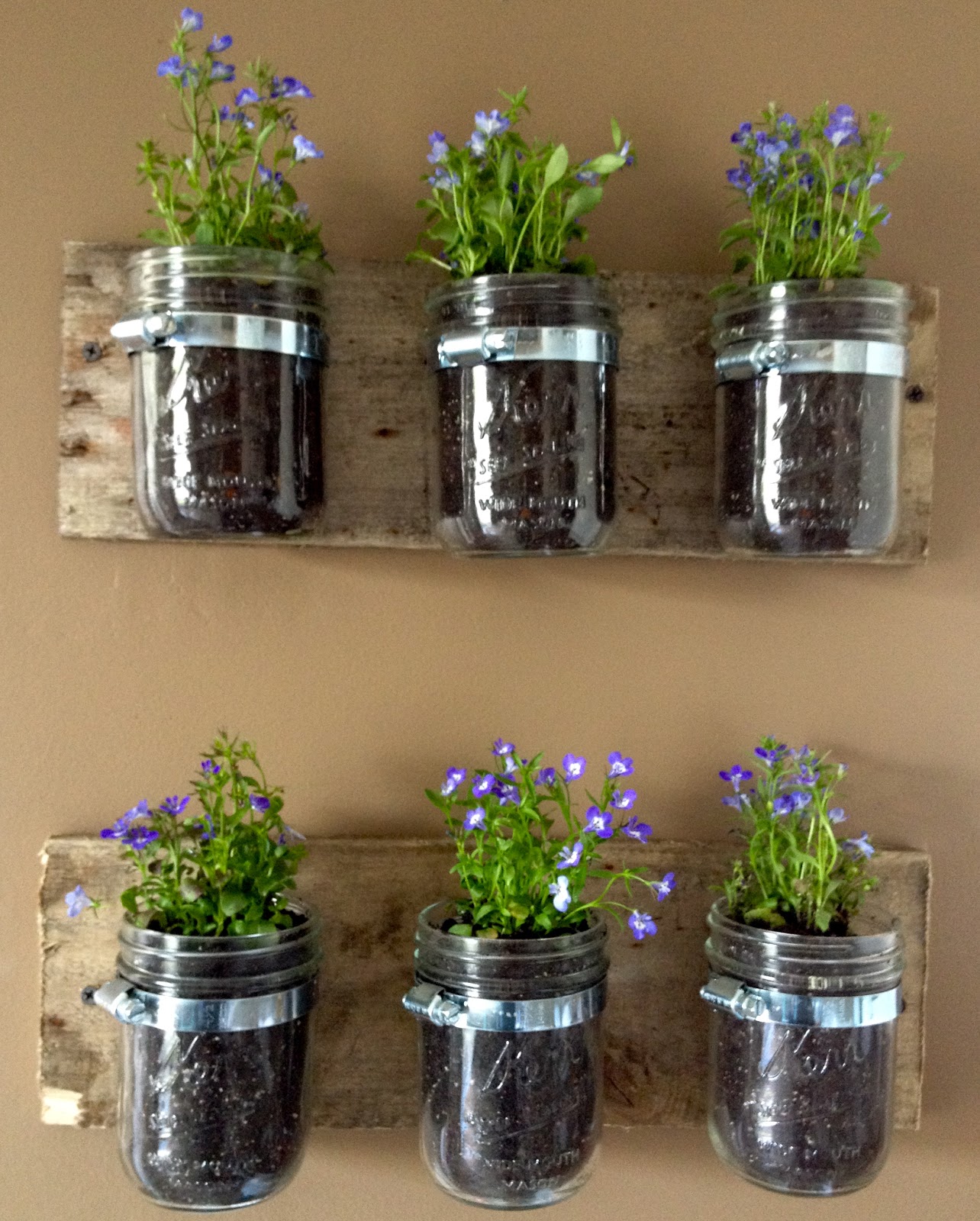 DIY Hanging Wall Planters from Mason Jars! - Kasey Trenum