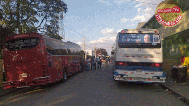 Transporte Gratis para visitar la Virgen de la Altagracia desde Comendador, Elías Piña