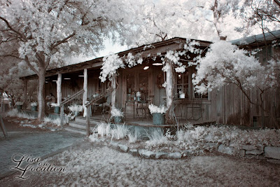 The Grapevine in Gruene, New Braunfels, infrared photography