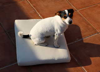 Louise steals a cushion to get comfy on