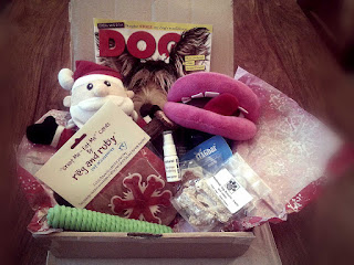 Contents of the fings for fido Christmas box