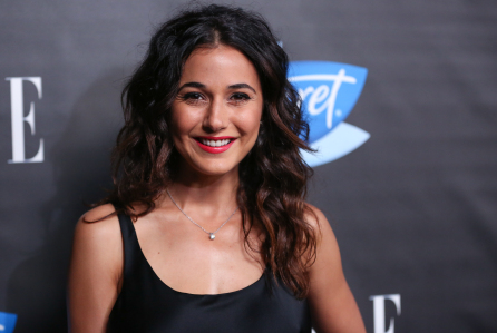 Emmanuelle Chriqui Wiki, Biography, Dob, Age, Height, Weight, Affairs and More