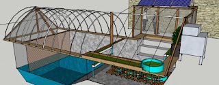 Aquaponics Design Plans