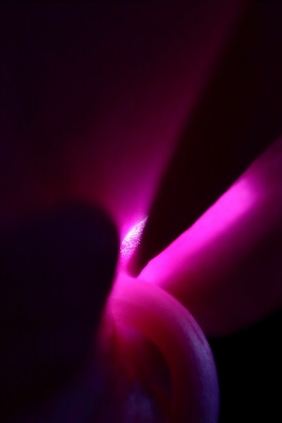 Challenging Abstract Photography