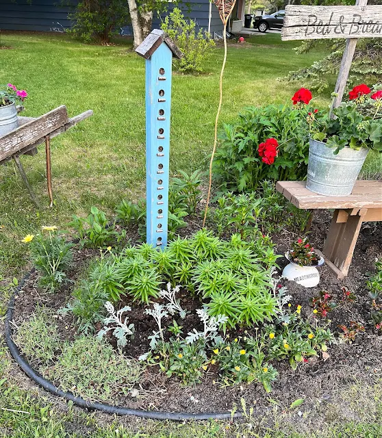 Photo of a newly planted flower border in late May.