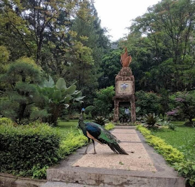 Kebun binatang bandung