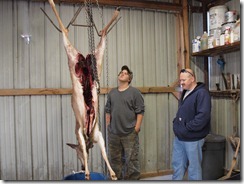 deer 010