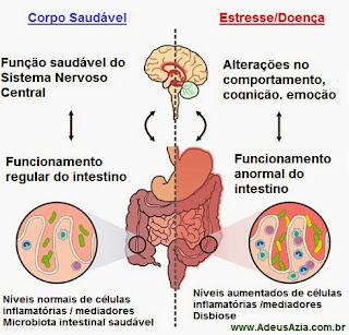 Resultado de imagem para intestino microbiota