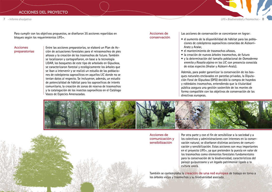 Informe Layman, LIFE+ Biodiversidad y Trasmochos