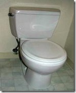 Toilet Leak