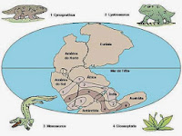 Resultado de imagen para paleobiogeografia